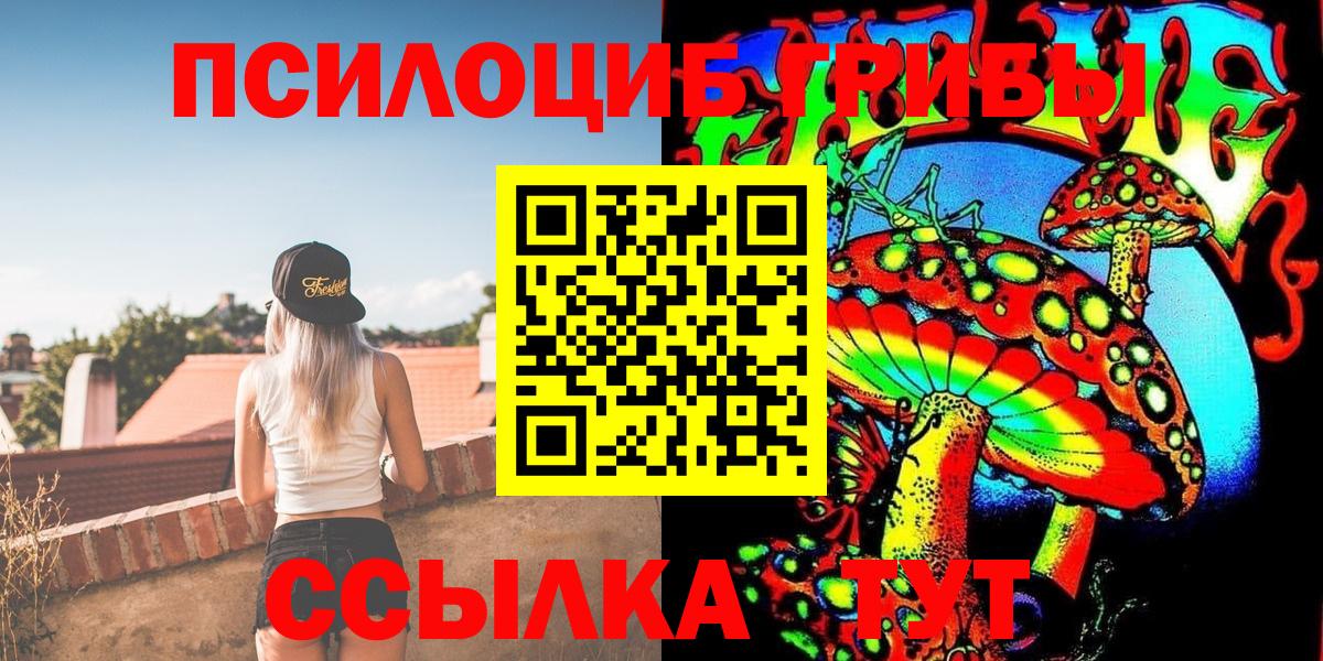 Псилоцибиновые грибы GOLDEN TEACHER Белово