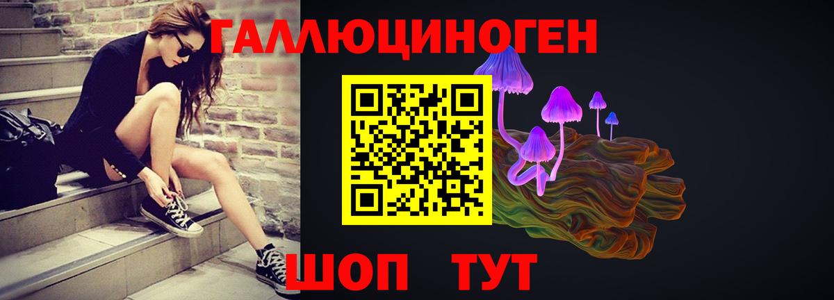 Псилоцибиновые грибы MAGIC MUSHROOMS  Вход с VPN  Белово  Псилоцибиновые грибы прущие грибы 